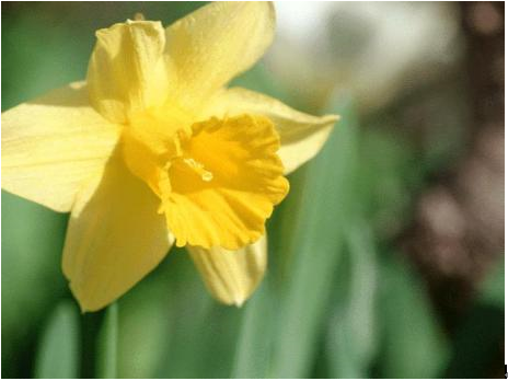 QQ圖片20160523091931.png QQ圖片20160523091931.png